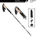 Trekking Pole — Impact Control